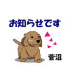 菅沼さんが使う名前スタンプ・子犬イラスト（個別スタンプ：24）