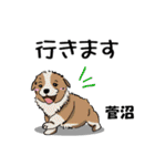 菅沼さんが使う名前スタンプ・子犬イラスト（個別スタンプ：30）