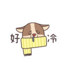 Dobby Dog（個別スタンプ：1）