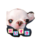 バニラとジュリエット（個別スタンプ：3）
