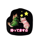 バニラとジュリエット（個別スタンプ：4）