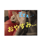 バニラとジュリエット（個別スタンプ：9）