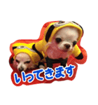 バニラとジュリエット（個別スタンプ：11）