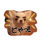 バニラとジュリエット（個別スタンプ：13）