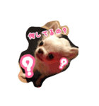 バニラとジュリエット（個別スタンプ：15）