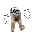 QLa（個別スタンプ：10）