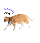 ^._.^！！（個別スタンプ：14）
