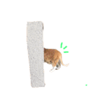 ^._.^！！（個別スタンプ：15）