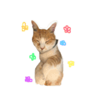 ^._.^！！（個別スタンプ：16）