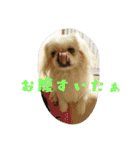 どらわたfamily（個別スタンプ：6）