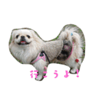 どらわたfamily（個別スタンプ：17）