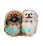 どらわたfamily（個別スタンプ：21）