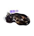 super  cute princess cat（個別スタンプ：15）