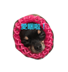 Black Pig OD（個別スタンプ：6）