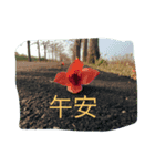 Courage go（個別スタンプ：2）