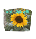 Courage go（個別スタンプ：8）