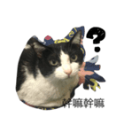 Popopopopoter（個別スタンプ：2）