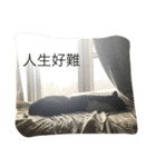 Popopopopoter（個別スタンプ：3）
