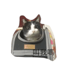 Popopopopoter（個別スタンプ：6）