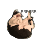 Popopopopoter（個別スタンプ：8）