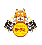 柴犬の使えそうなスタンプ（個別スタンプ：1）