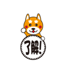 柴犬の使えそうなスタンプ（個別スタンプ：2）
