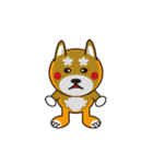 柴犬の使えそうなスタンプ（個別スタンプ：6）