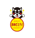 柴犬の使えそうなスタンプ（個別スタンプ：7）