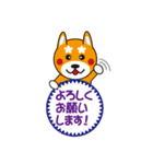柴犬の使えそうなスタンプ（個別スタンプ：11）