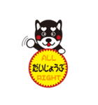 柴犬の使えそうなスタンプ（個別スタンプ：12）