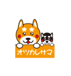 柴犬の使えそうなスタンプ（個別スタンプ：16）