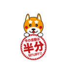 柴犬の使えそうなスタンプ（個別スタンプ：17）