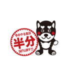 柴犬の使えそうなスタンプ（個別スタンプ：19）