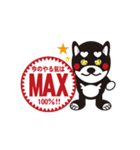柴犬の使えそうなスタンプ（個別スタンプ：20）