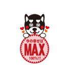 柴犬の使えそうなスタンプ（個別スタンプ：22）