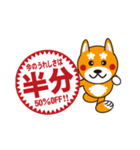 柴犬の使えそうなスタンプ（個別スタンプ：23）