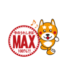柴犬の使えそうなスタンプ（個別スタンプ：24）