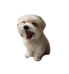 I love the dog（個別スタンプ：7）