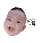 BABYKAI（個別スタンプ：7）