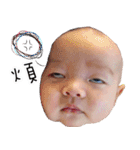 BABYKAI（個別スタンプ：8）