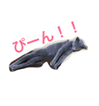 るーくさんたち（個別スタンプ：1）