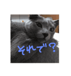 るーくさんたち（個別スタンプ：3）