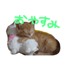 るーくさんたち（個別スタンプ：5）
