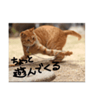 るーくさんたち（個別スタンプ：6）