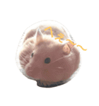 キンクマハムスターだいふくスタンプ（個別スタンプ：13）