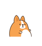 Belly Corgi コーギー 「 動く！ 」（個別スタンプ：3）