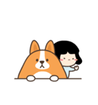 Belly Corgi コーギー 「 動く！ 」（個別スタンプ：14）