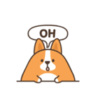 Belly Corgi コーギー 「 動く！ 」（個別スタンプ：16）