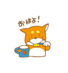 柴わんこだワン（個別スタンプ：1）