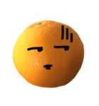 boring orange（個別スタンプ：10）